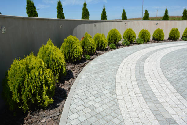 Best Custom Driveway Pavers  in San Antonio, TX