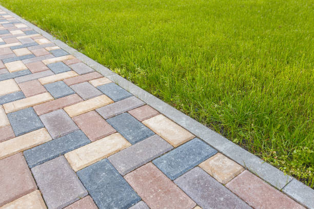 Best Driveway Paving Near Me  in San Antonio, TX